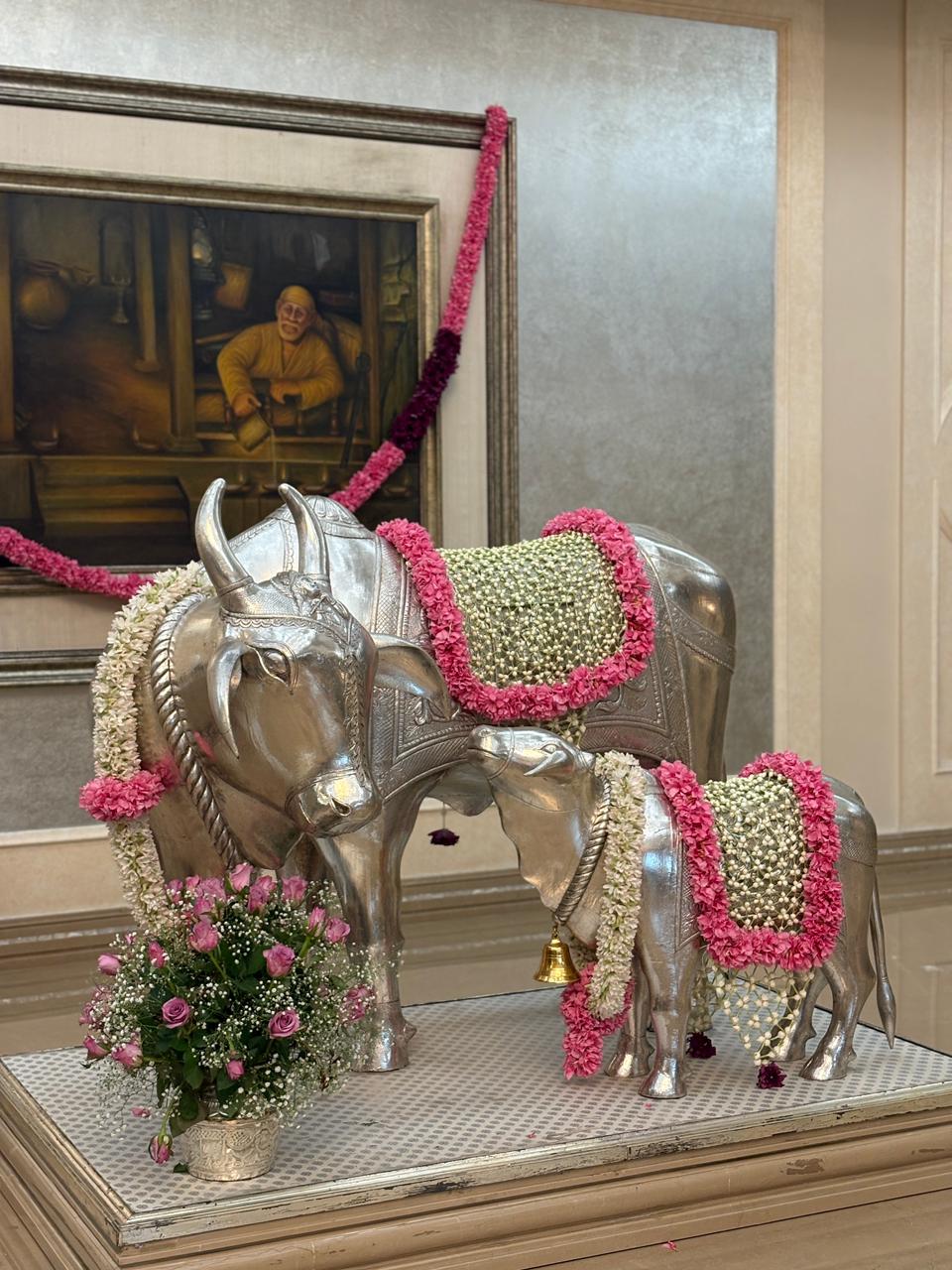 WhatsApp Image 2025 11 19 At 9.54.11 PM